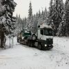IMG-20190102-WA0031