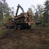 IMG-20190102-WA0040